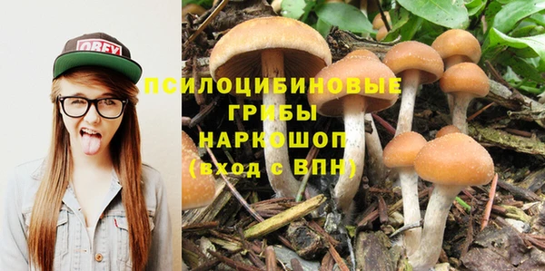 PSILOCYBIN Иннополис