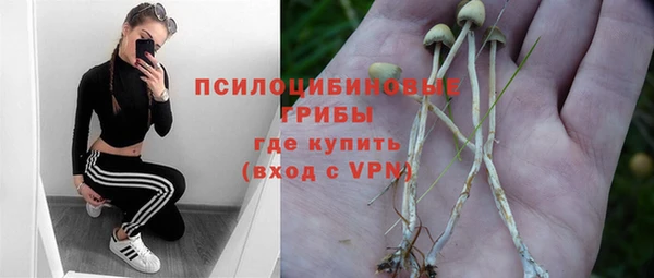 PSILOCYBIN Иннополис