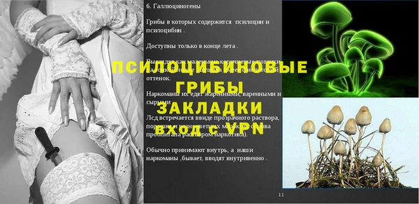 сатива Каменск-Шахтинский