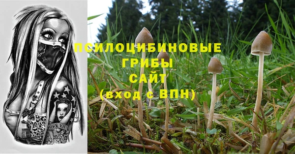 mix Инсар