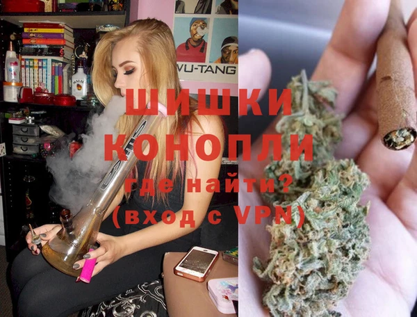PSILOCYBIN Иннополис