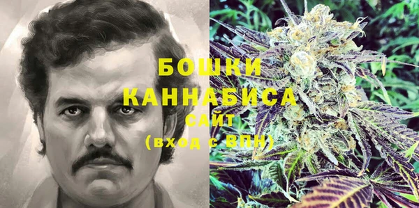 сатива Каменск-Шахтинский