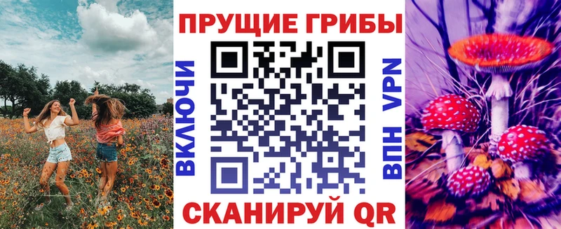 Купить Ряжск Псилоцибиновые грибы Psilocybe